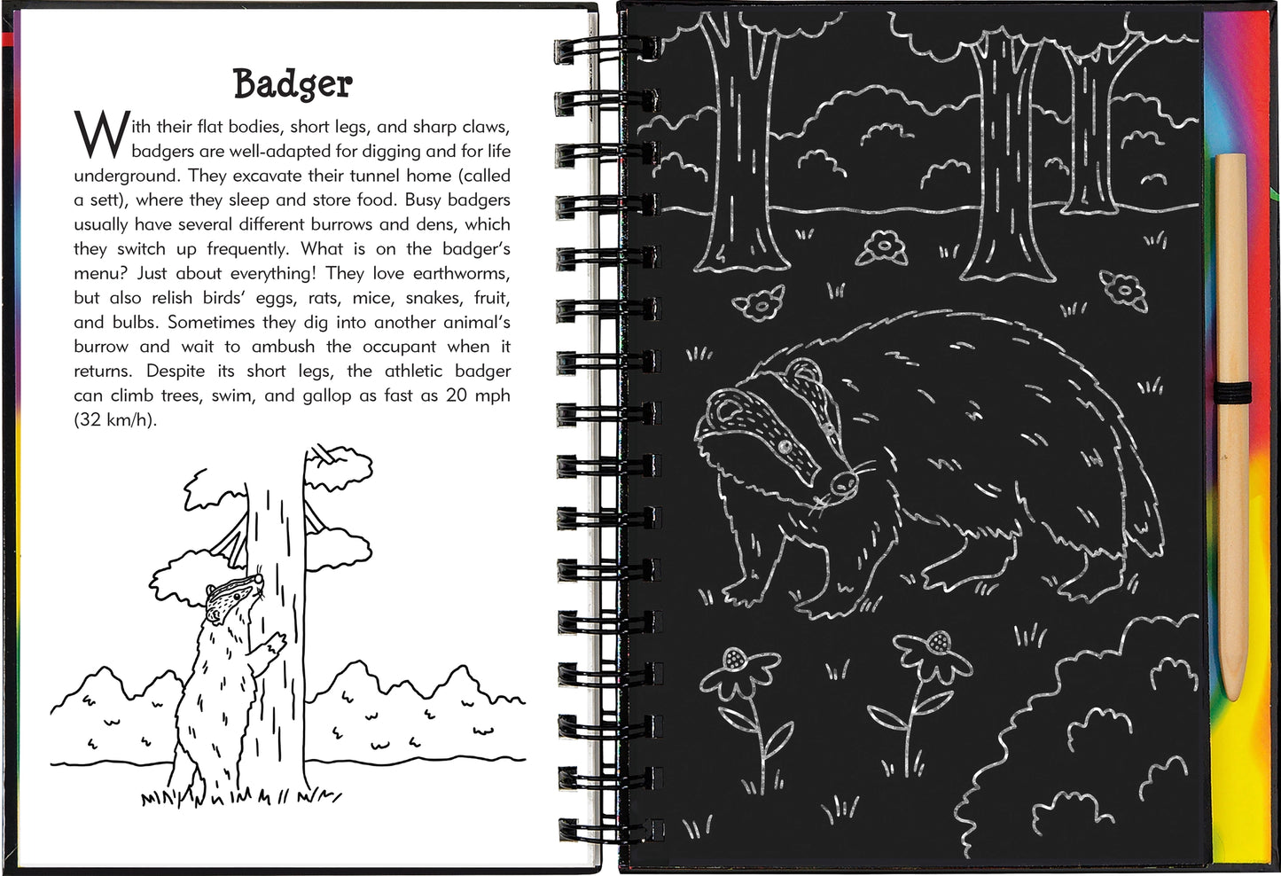 Scratch & Sketch: Nocturnal Animals
