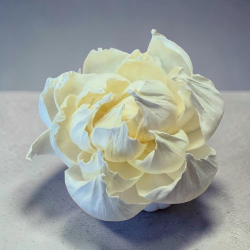 Diffuser Replacement Flower