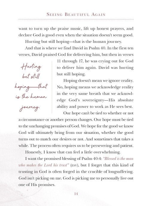 Seeing Beautiful Again by Lysa TerKeurst