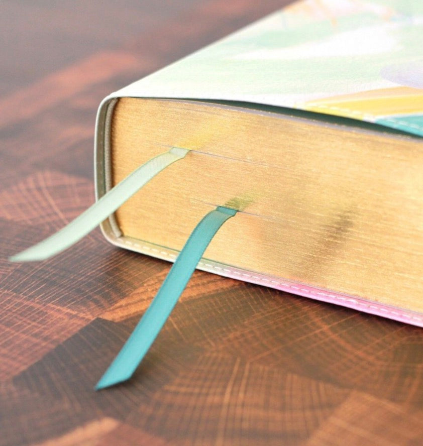 The Jesus Bible Artist Edition ESV Multi-color/Teal
