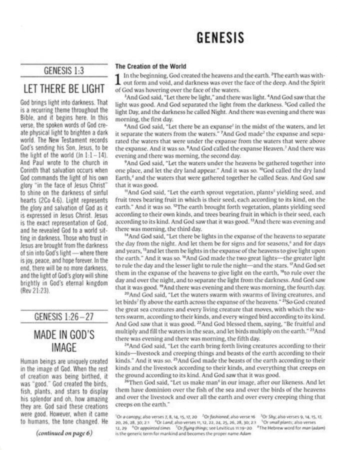 The Jesus Bible Artist Edition ESV Multi-color/Teal
