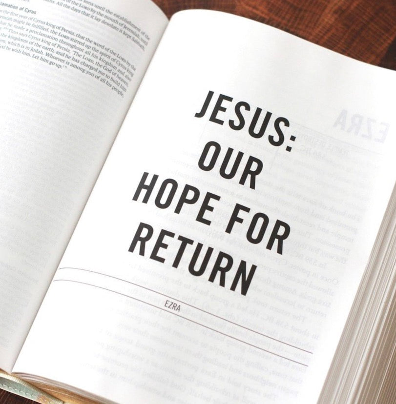 The Jesus Bible Artist Edition ESV Multi-color/Teal