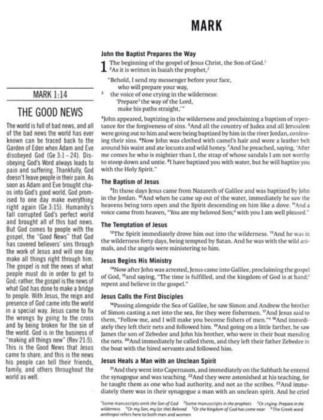 The Jesus Bible Artist Edition ESV Multi-color/Teal