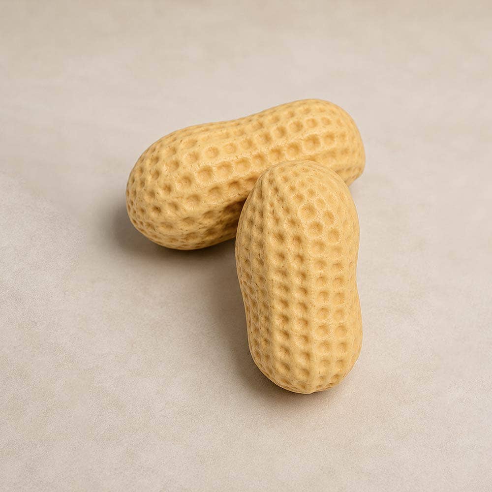 Peanut Squishy {FINAL SALE}