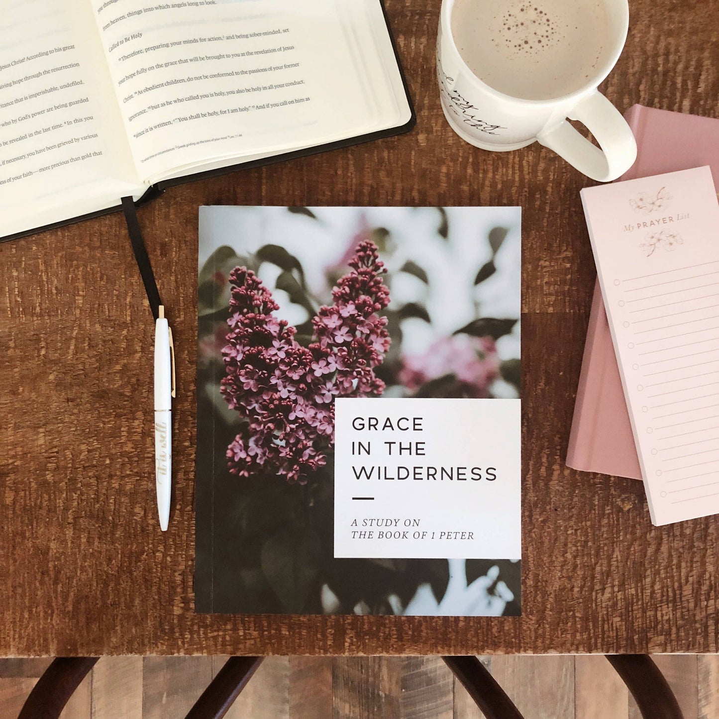 Grace in the Wilderness Study