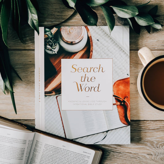 Search the Word Workbook