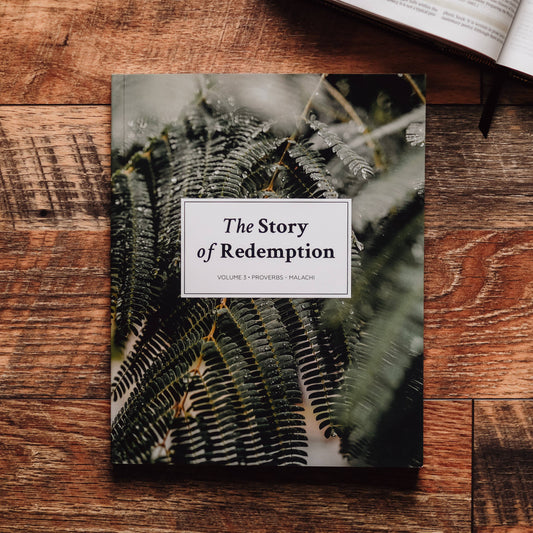 The Story of Redemption | Vol. 3 - Men