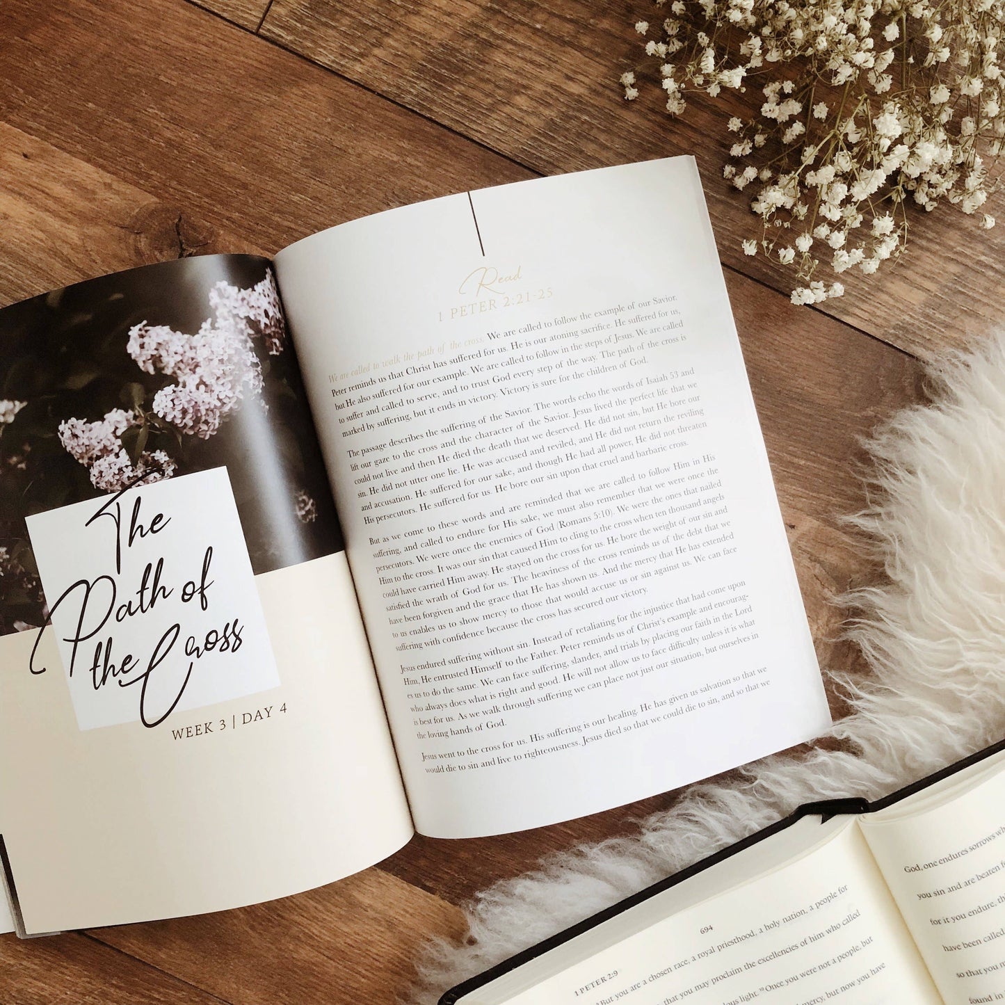 Grace in the Wilderness Study