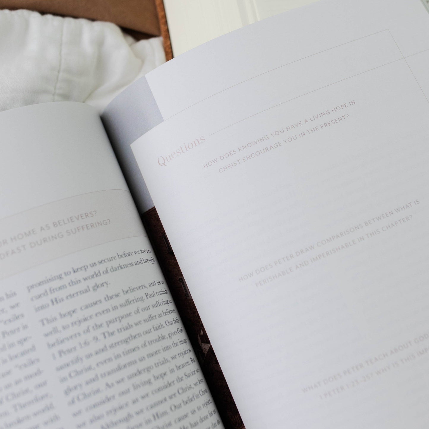 Behold: New Testament | Volume 4 Study