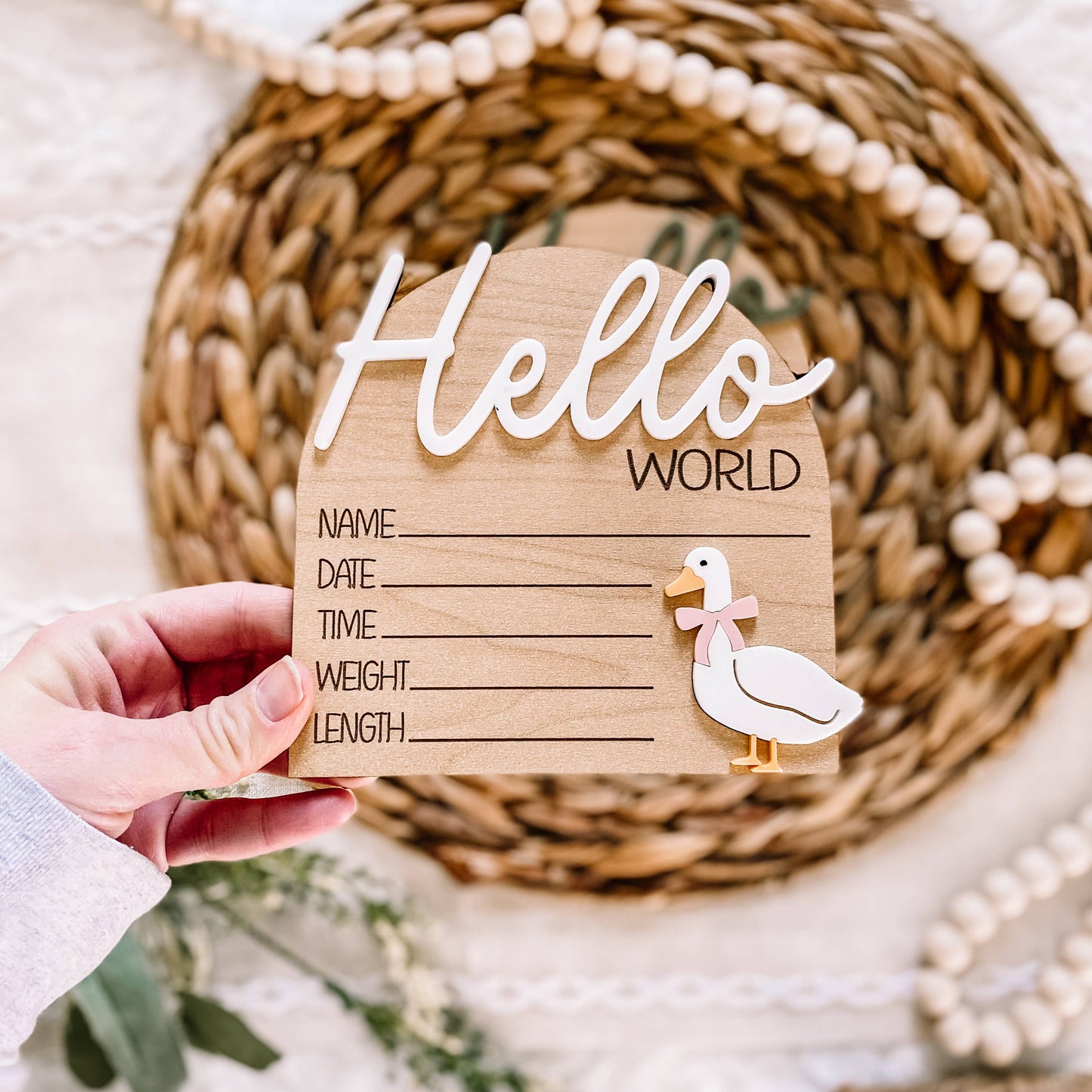 Hello World Birth Stat Goose Sign