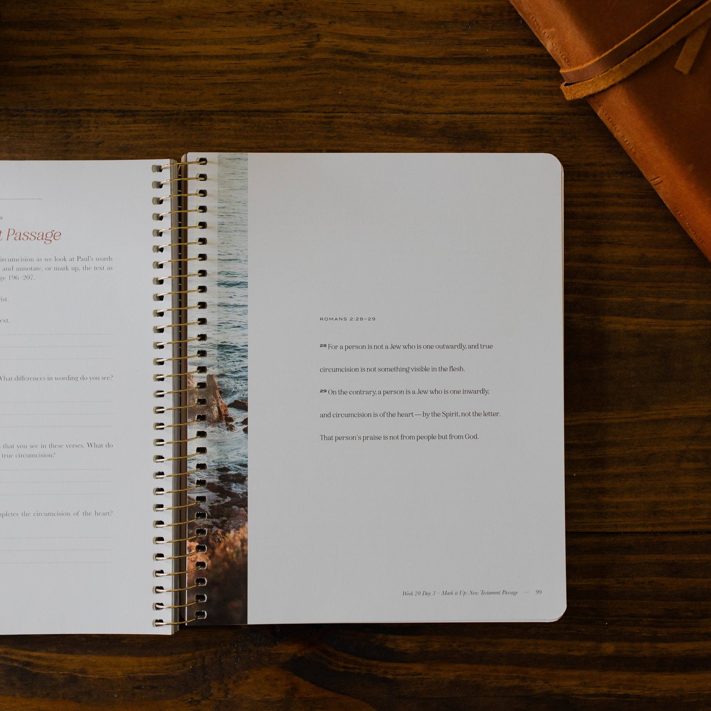 Christ in All of Scripture | Volume 2 | Men