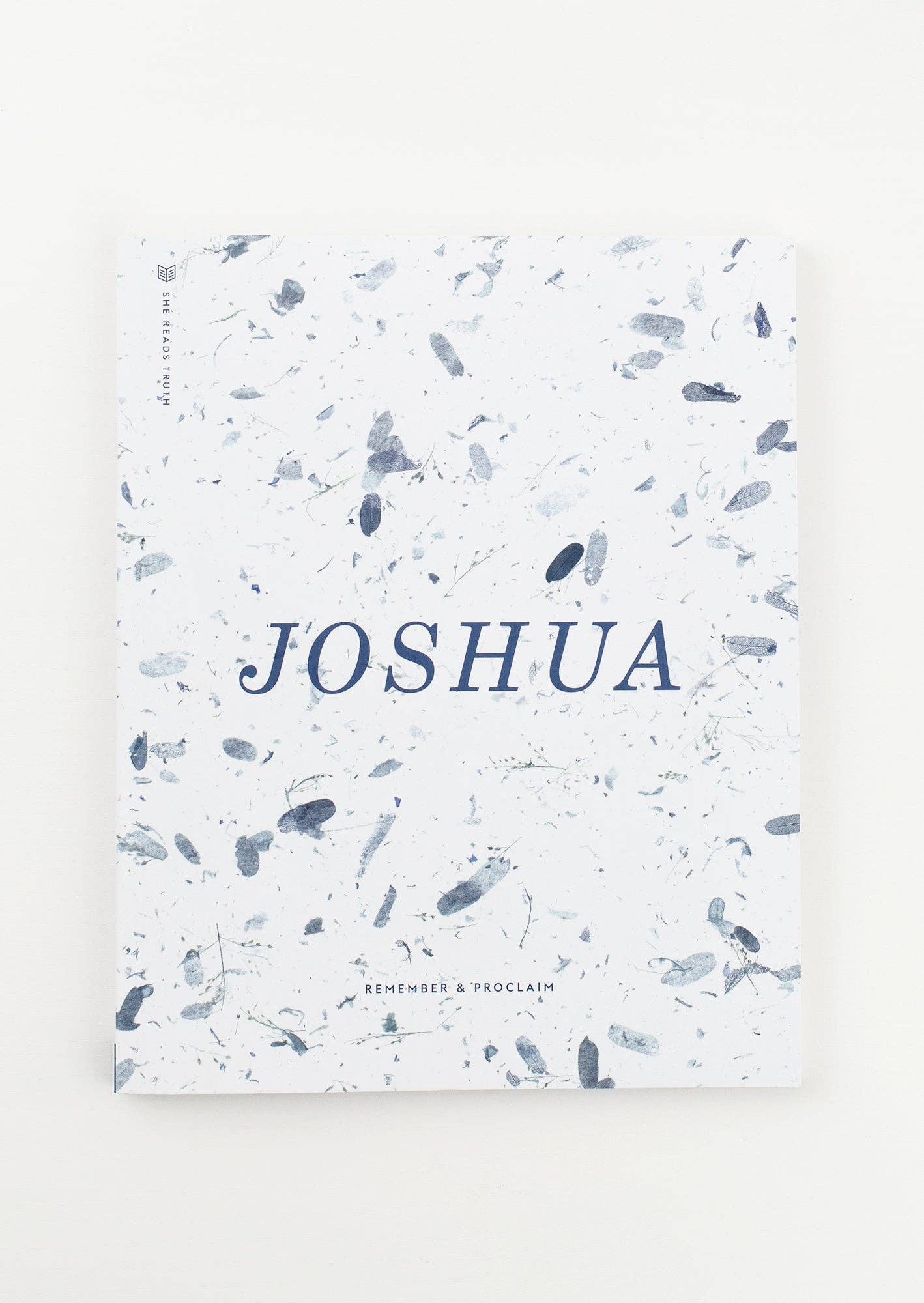 Joshua Study Book