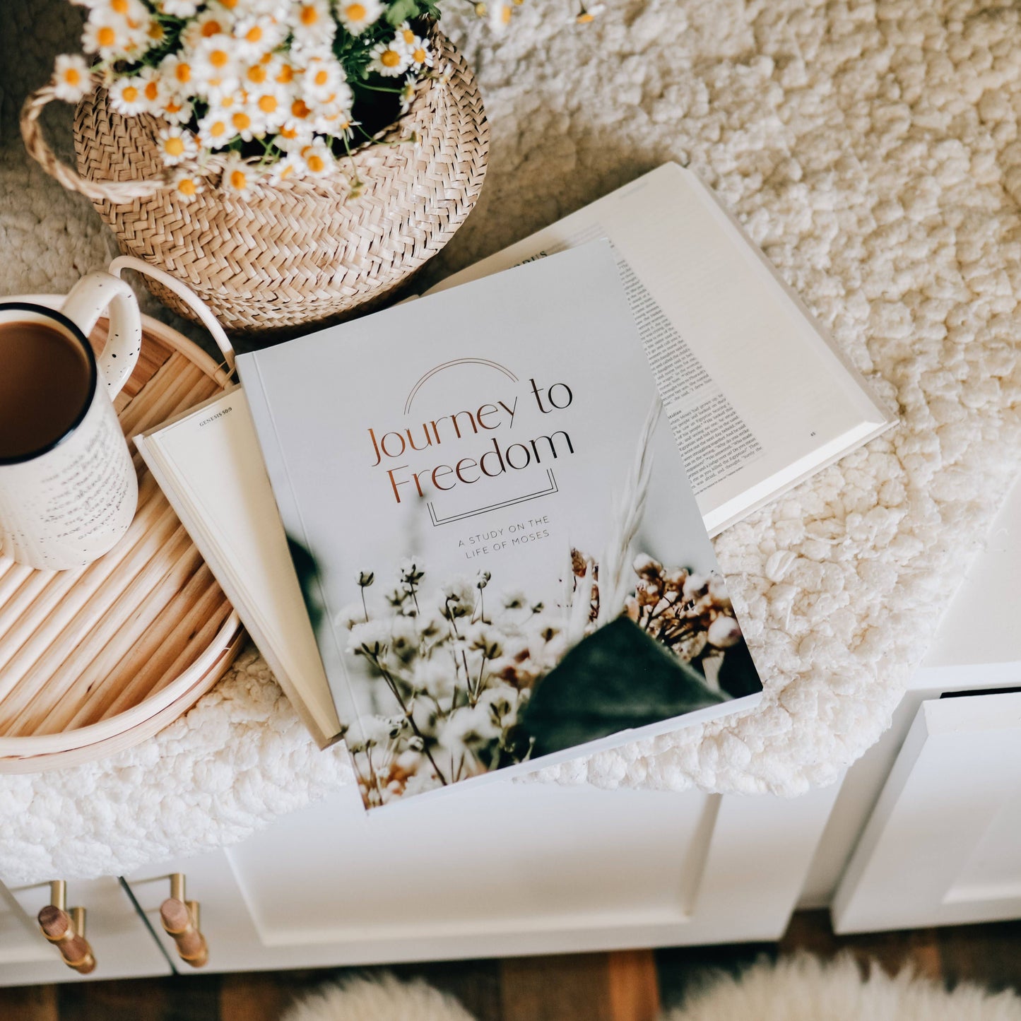 Journey to Freedom Study