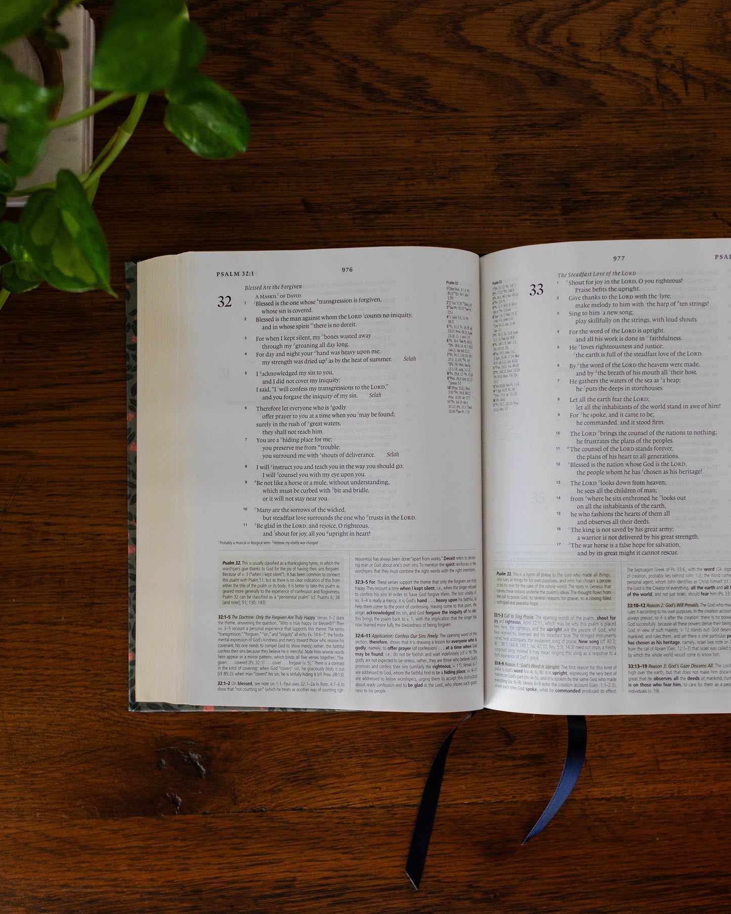 ESV Study Bible: Abide Theme