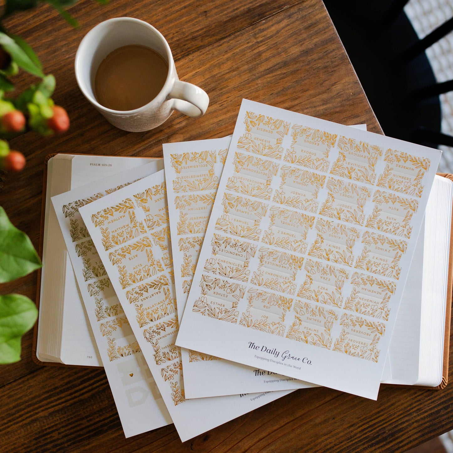 Cream & Gold Foil Bible Tabs