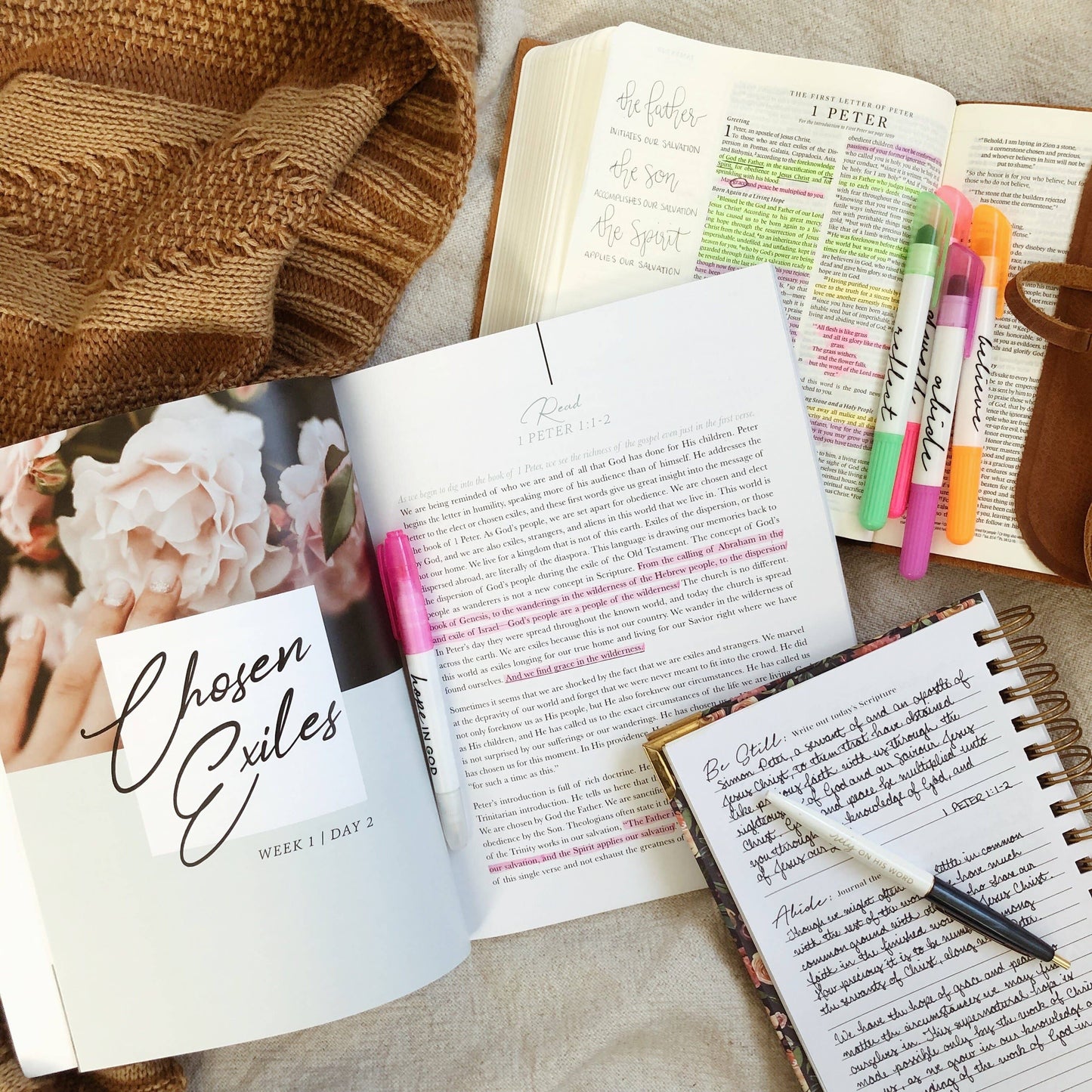 Grace in the Wilderness Study