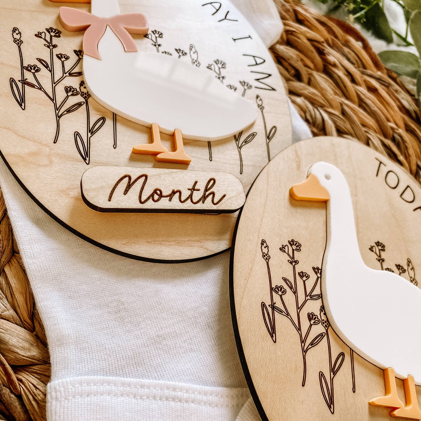 Goose Monthly Milestone Sign