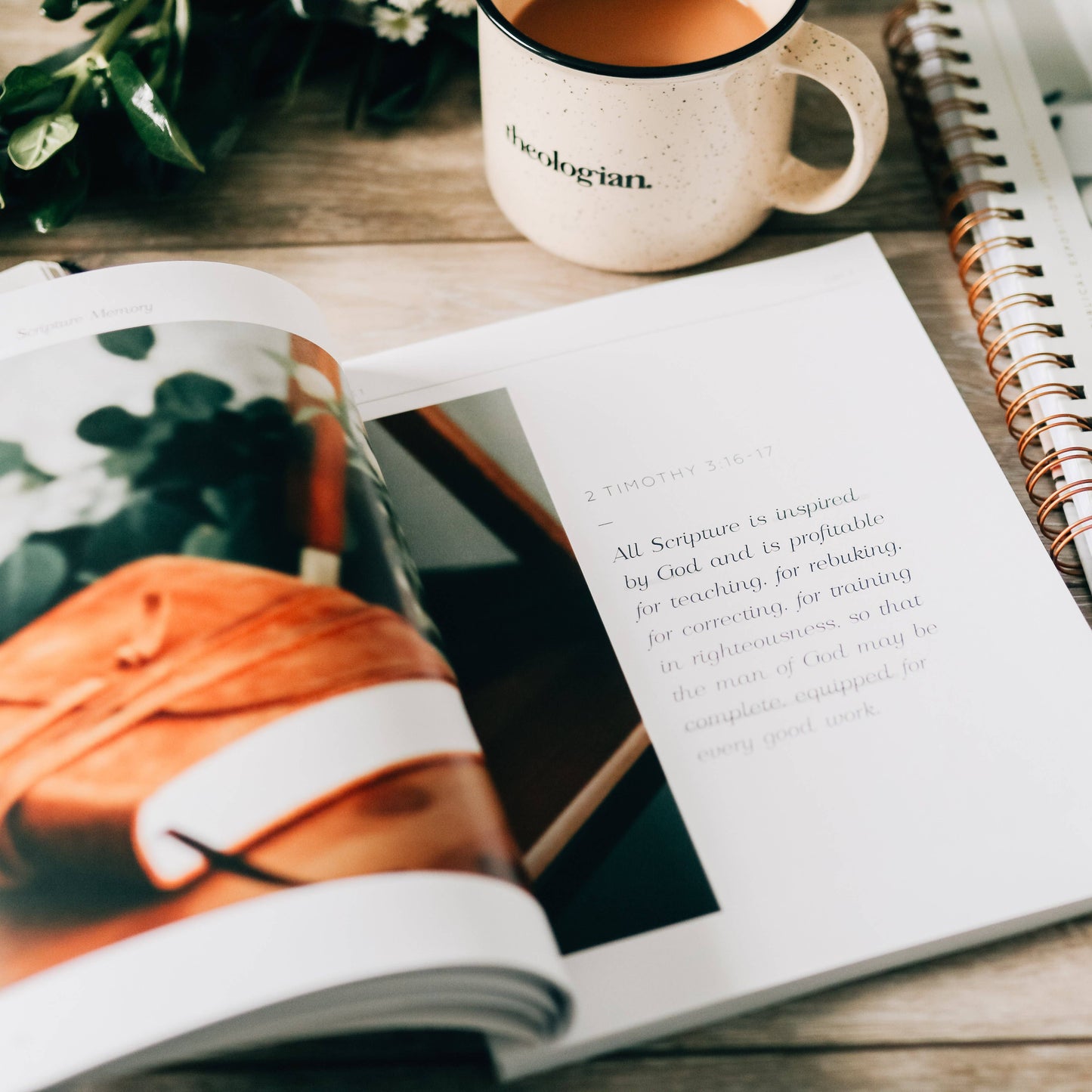 Search the Word Workbook