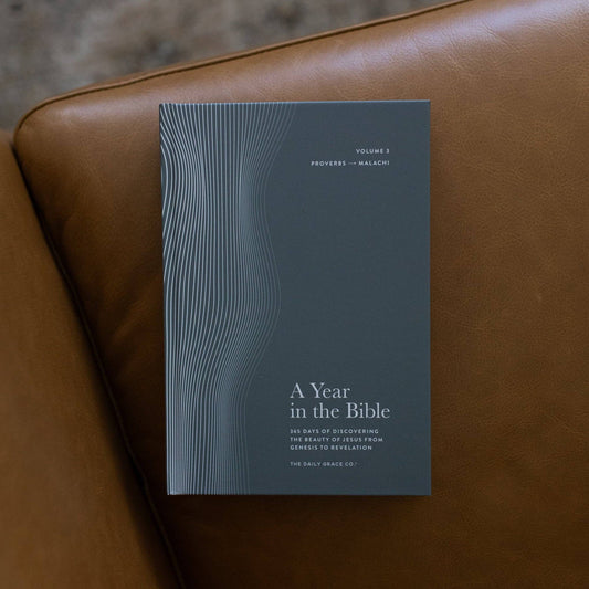 A Year in the Bible Volume 3: Proverbs- Malachi | Men's Study