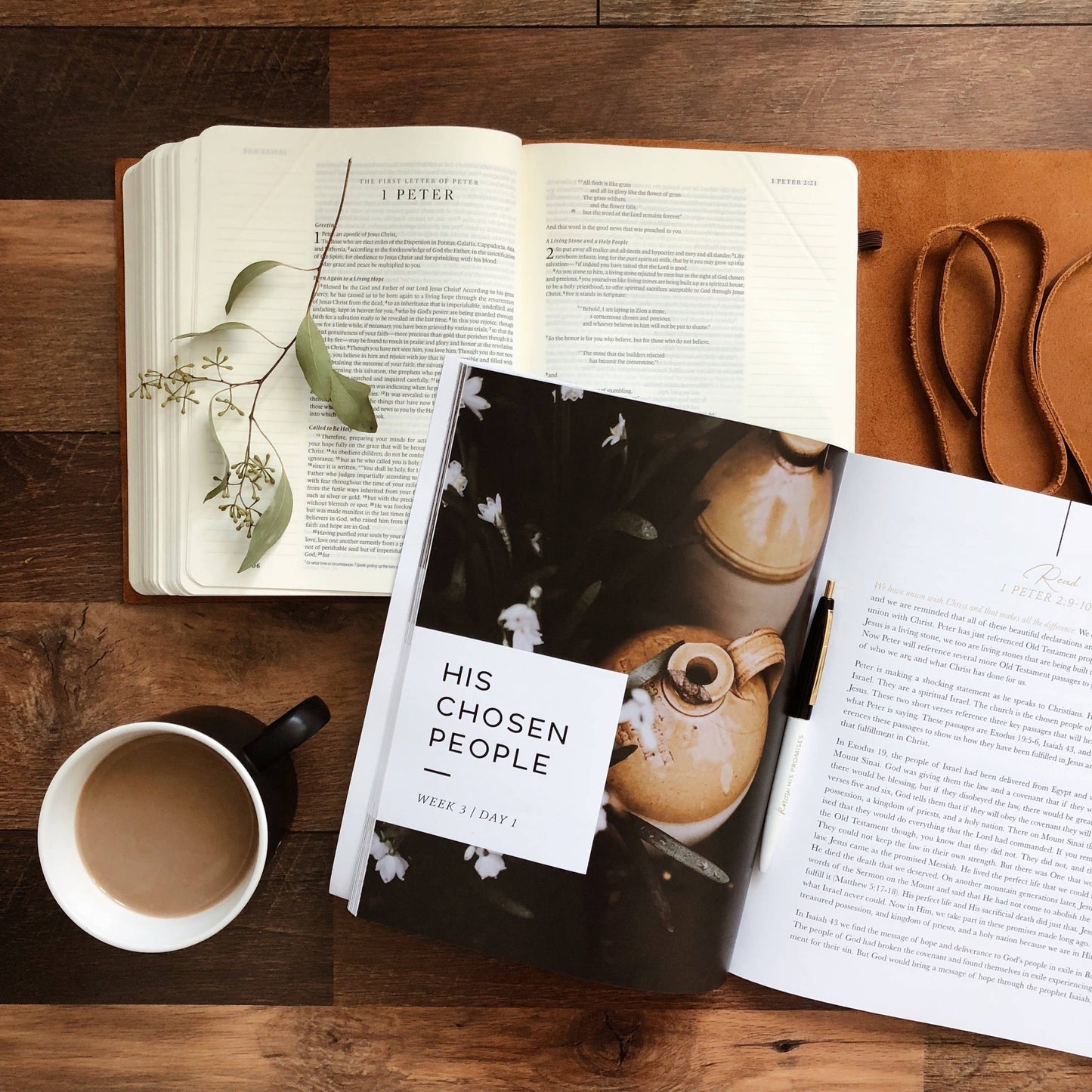 Grace in the Wilderness Study