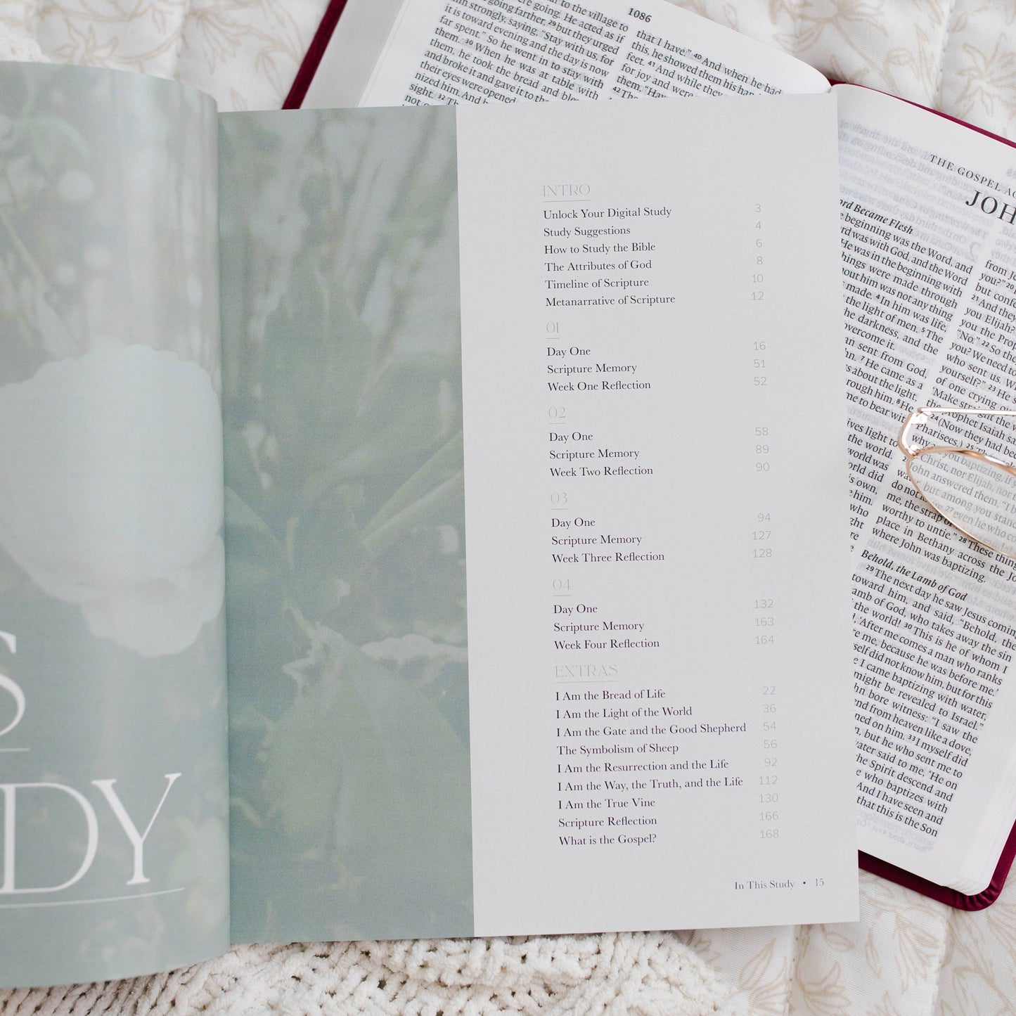 I Am… Bible Study