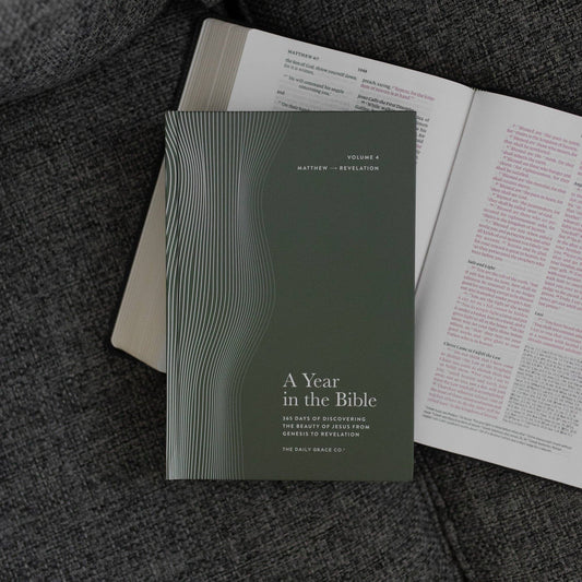 A Year in the Bible Volume 4: Matthew-Revelation | Men's Study
