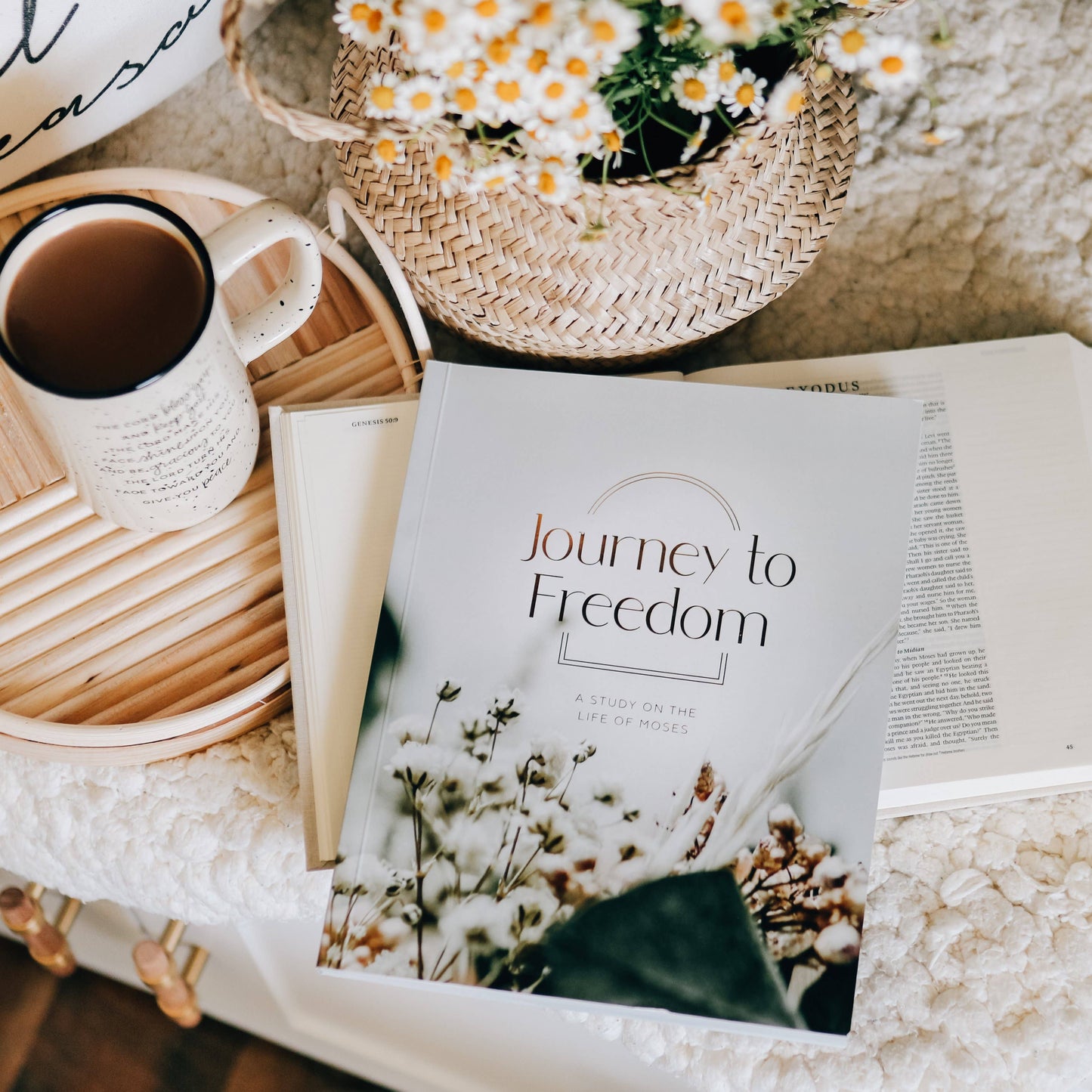 Journey to Freedom Study
