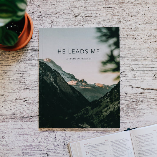 He Leads Me | Psalm 23 Study for Men