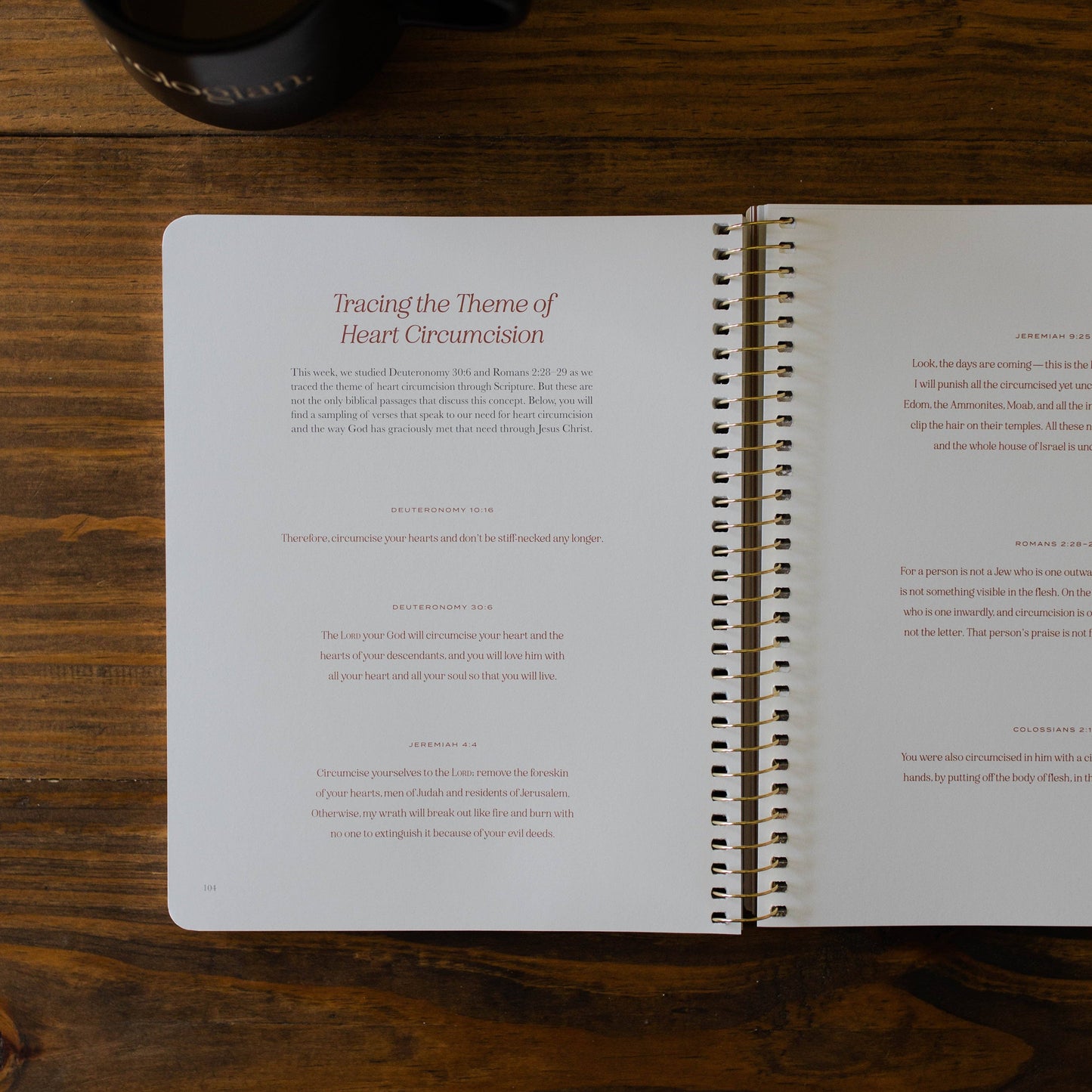 Christ in All of Scripture | Volume 2 | Men