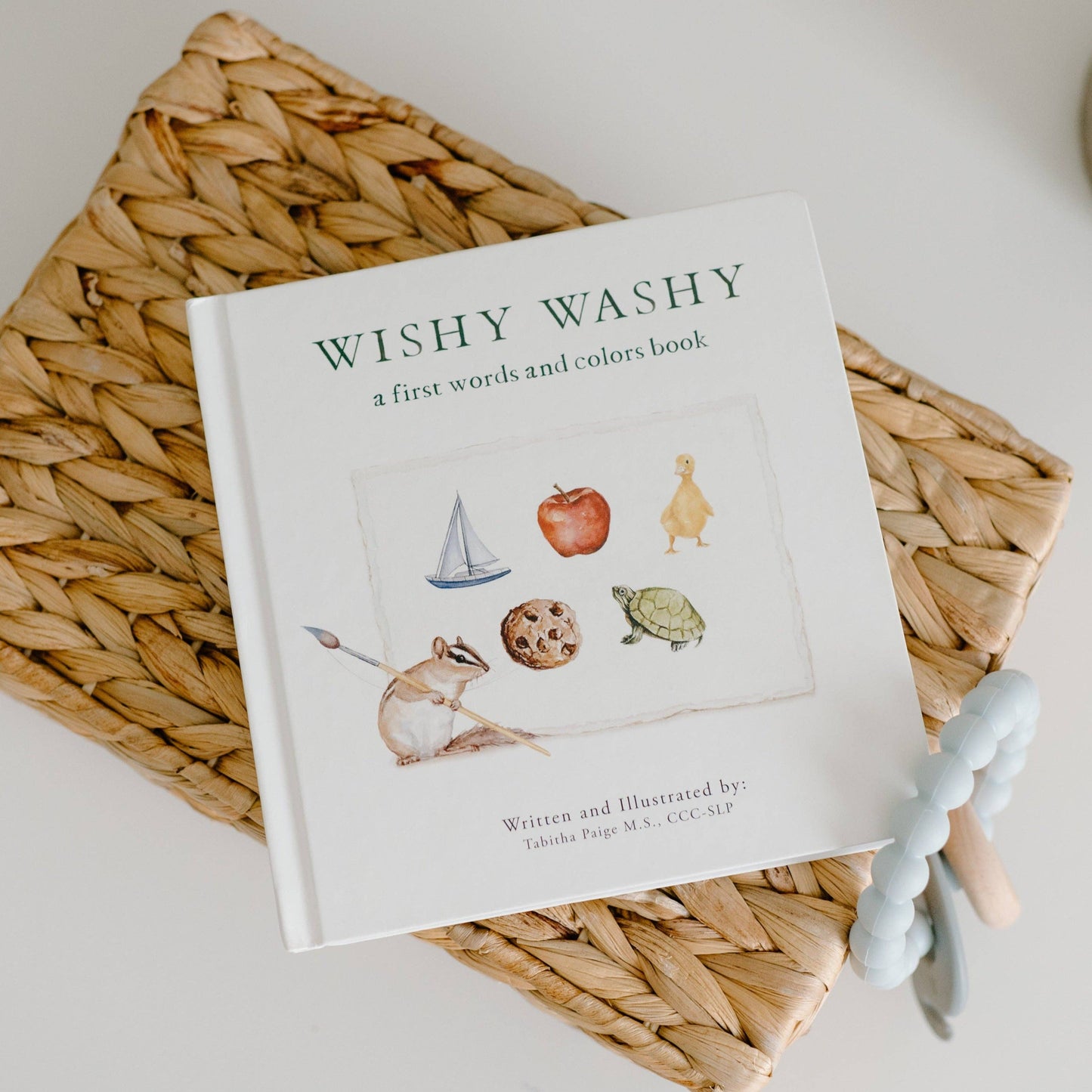 Wishy Washy: First Words & Colors Book