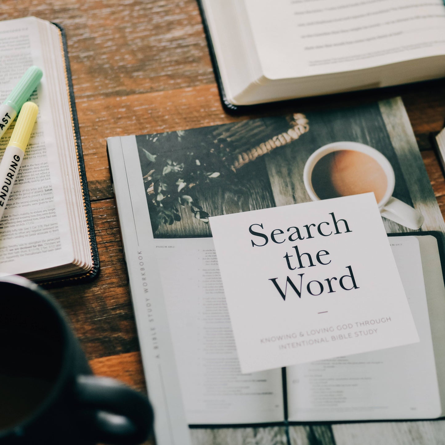 Search the Word Study for Men