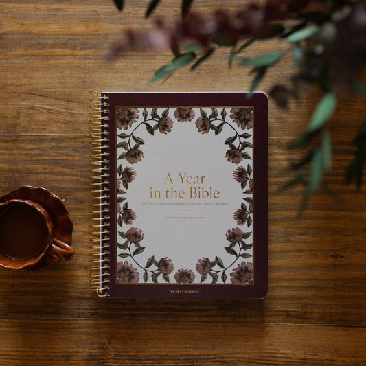 A Year in the Bible Volume 2 |  1 Kings-Psalms