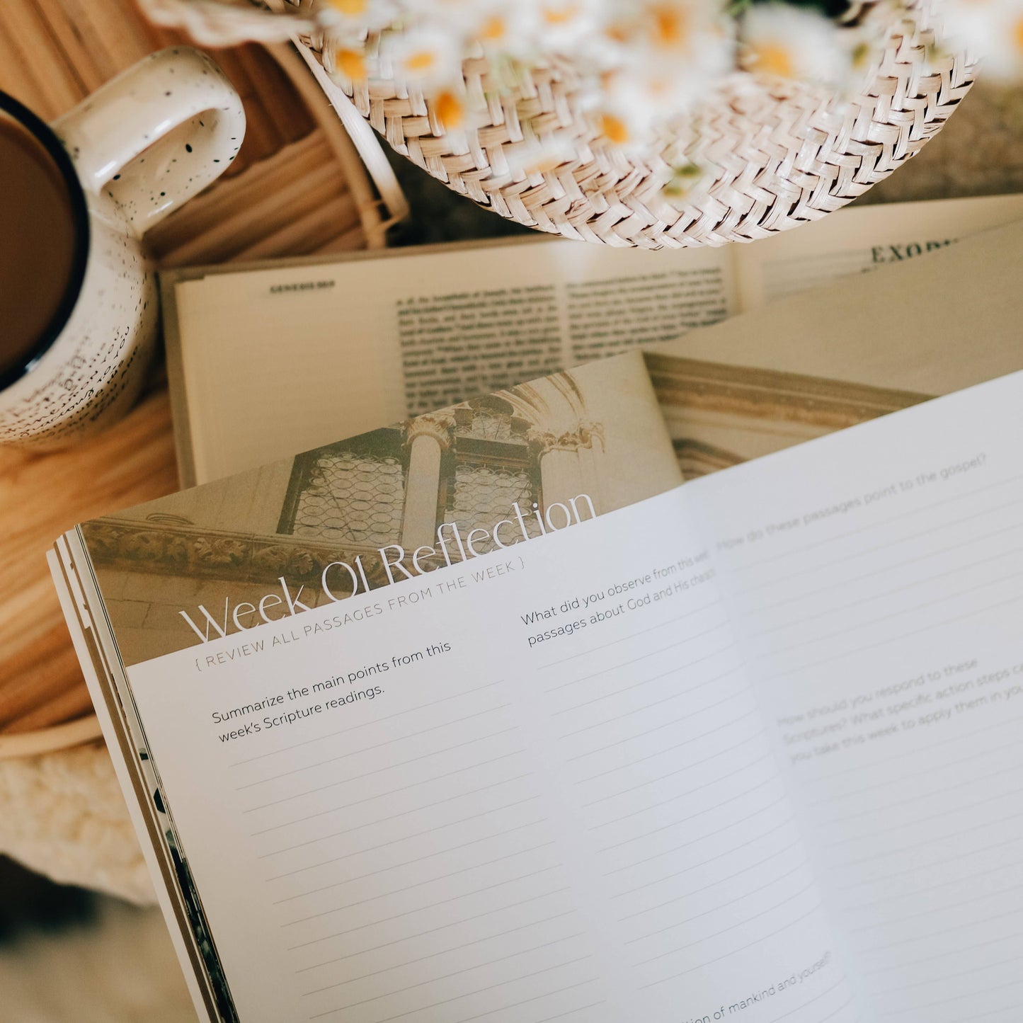 Journey to Freedom Study