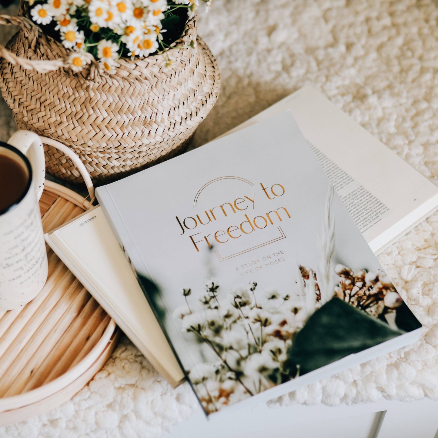 Journey to Freedom Study