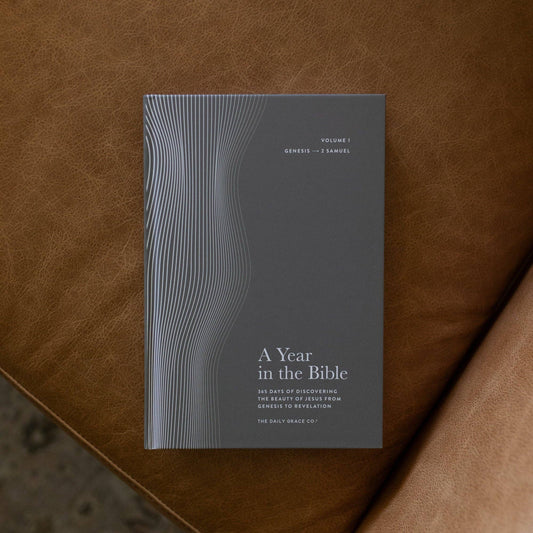 A Year in the Bible Volume 1: Genesis - 2 Samuel | Men's Study