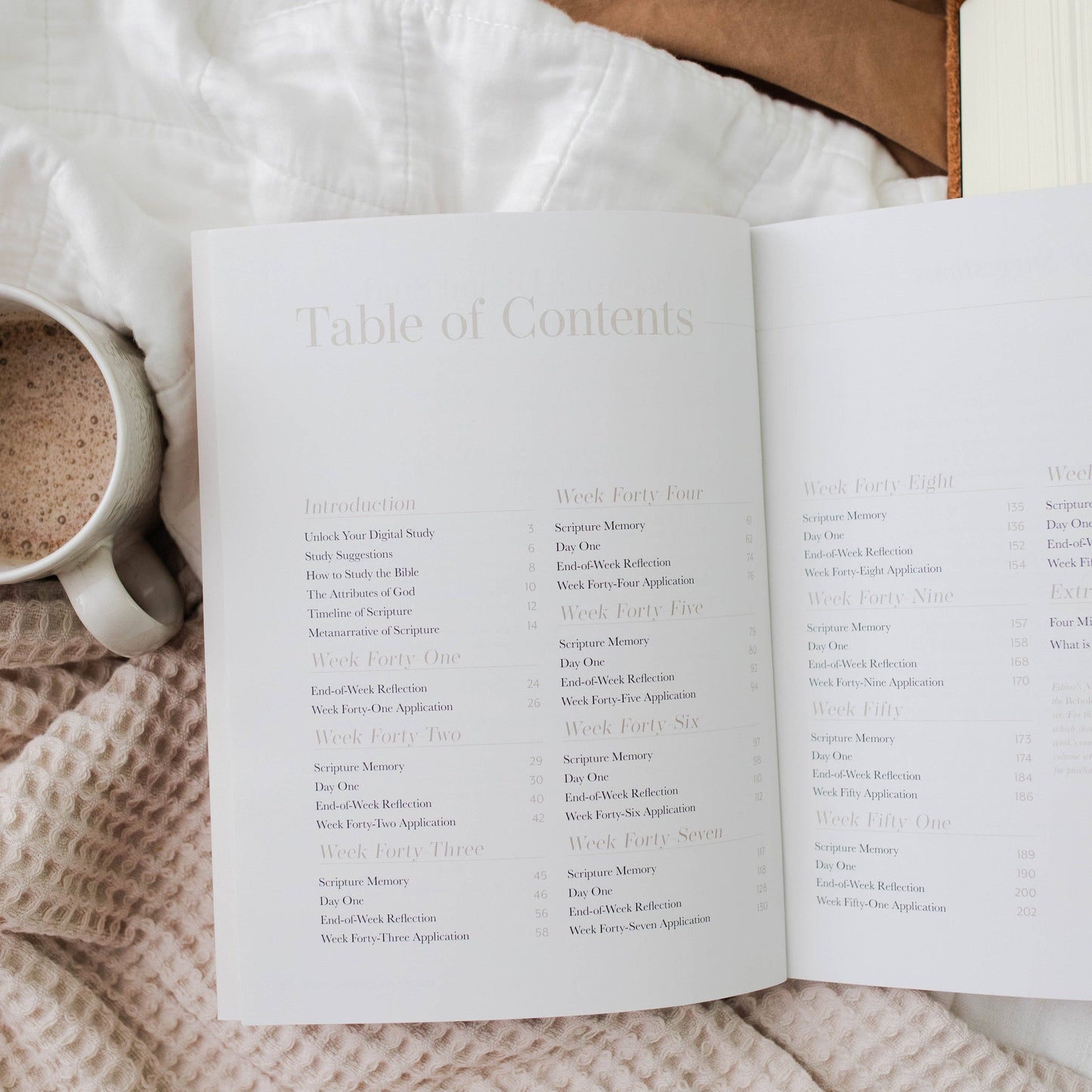 Behold: New Testament | Volume 4 Study