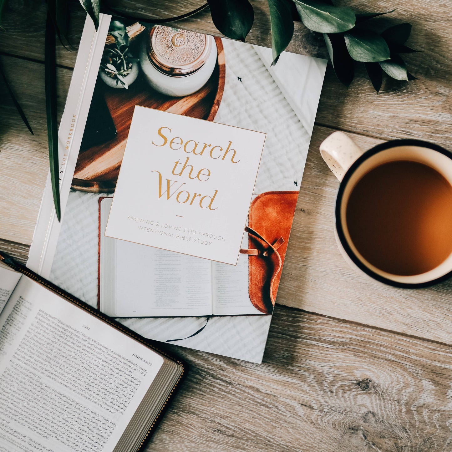 Search the Word Workbook