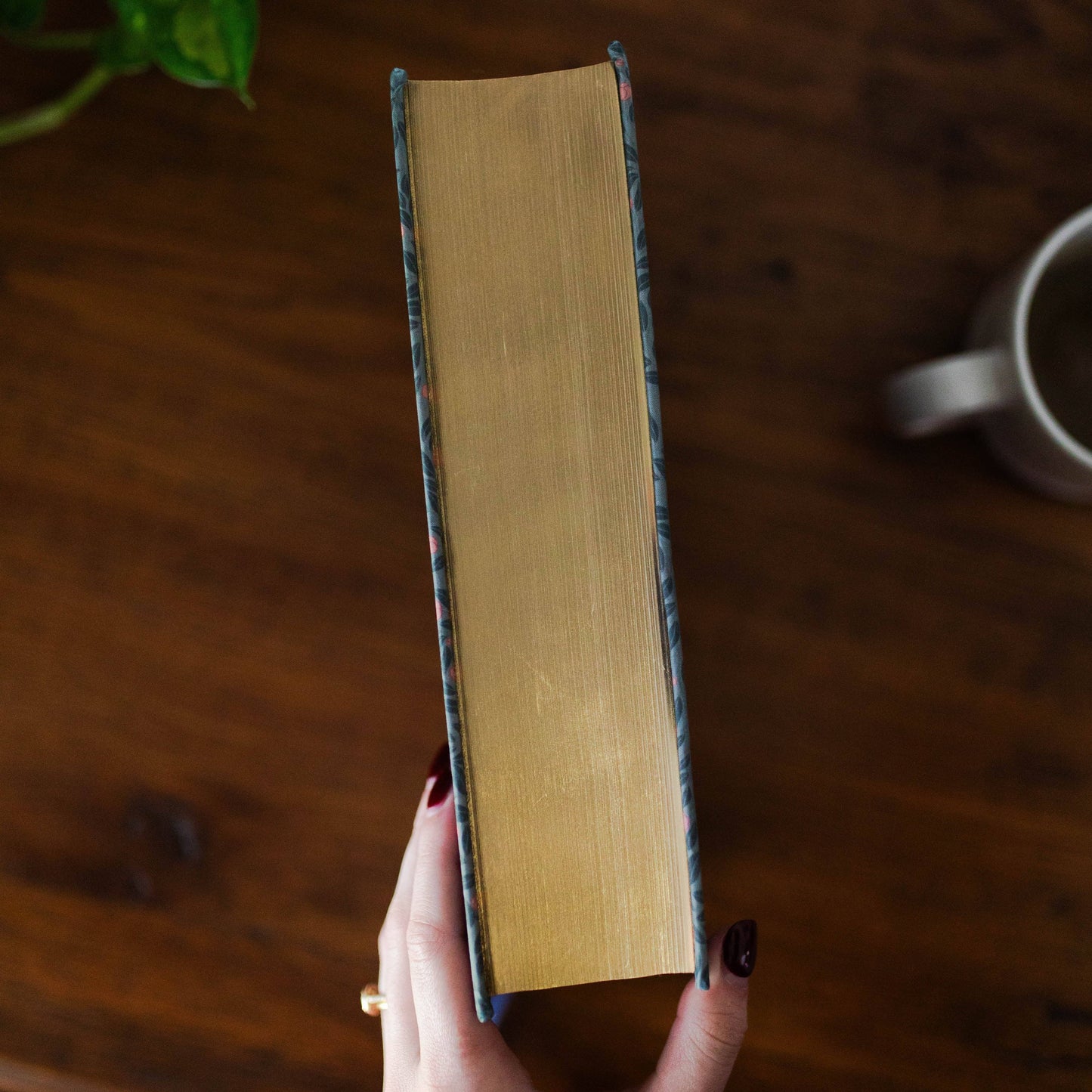 ESV Study Bible: Abide Theme