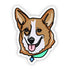 files/image_74244738-a89a-47da-80d0-d186e63eeaea.webp