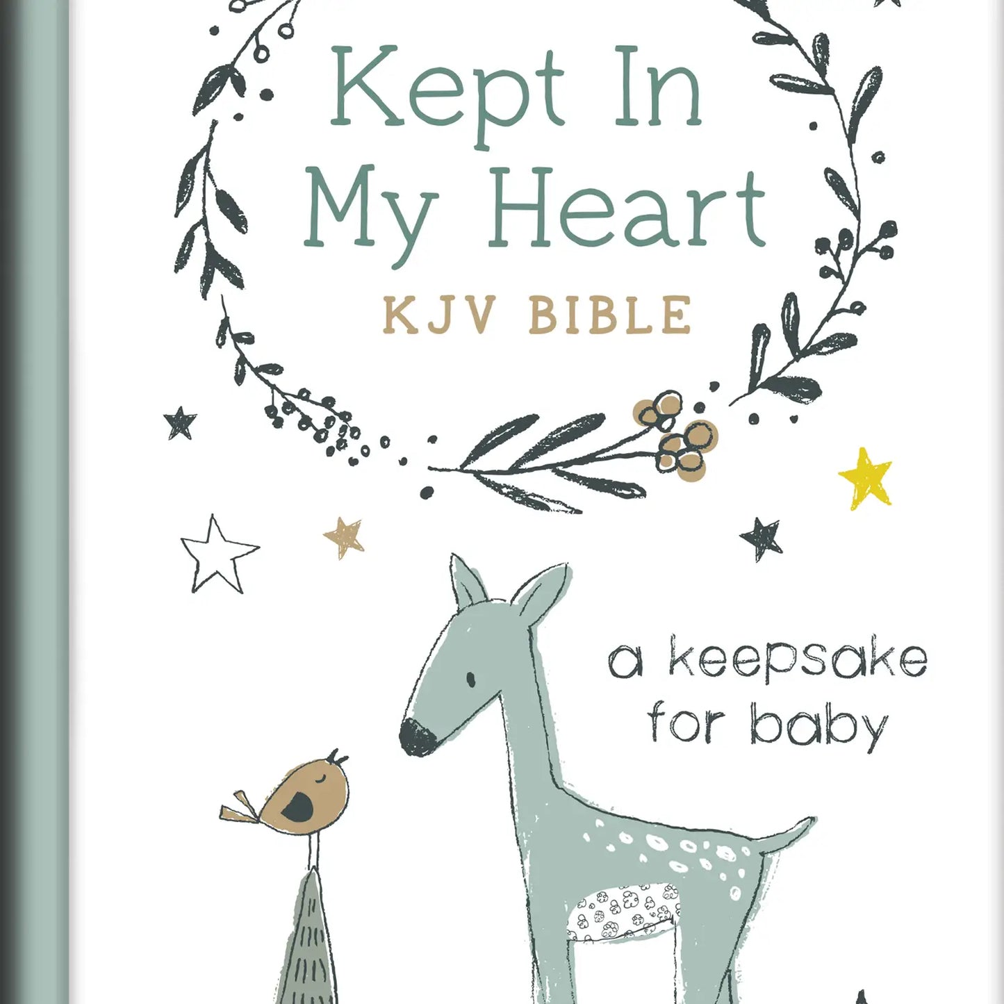 KJV Bible | For Children