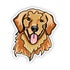 files/image_fe8b4d36-edfb-4f0e-9951-8d1405a9e69d.webp